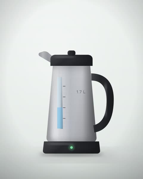 Rapid-Boil Electric Kettle 1.7 L in Steel